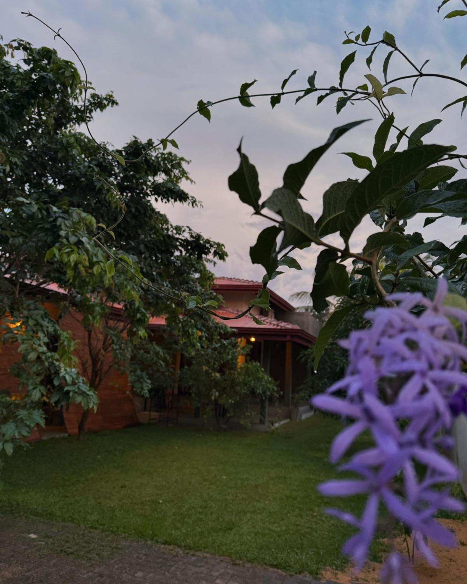 Negombo 146 Homestay Экстерьер фото